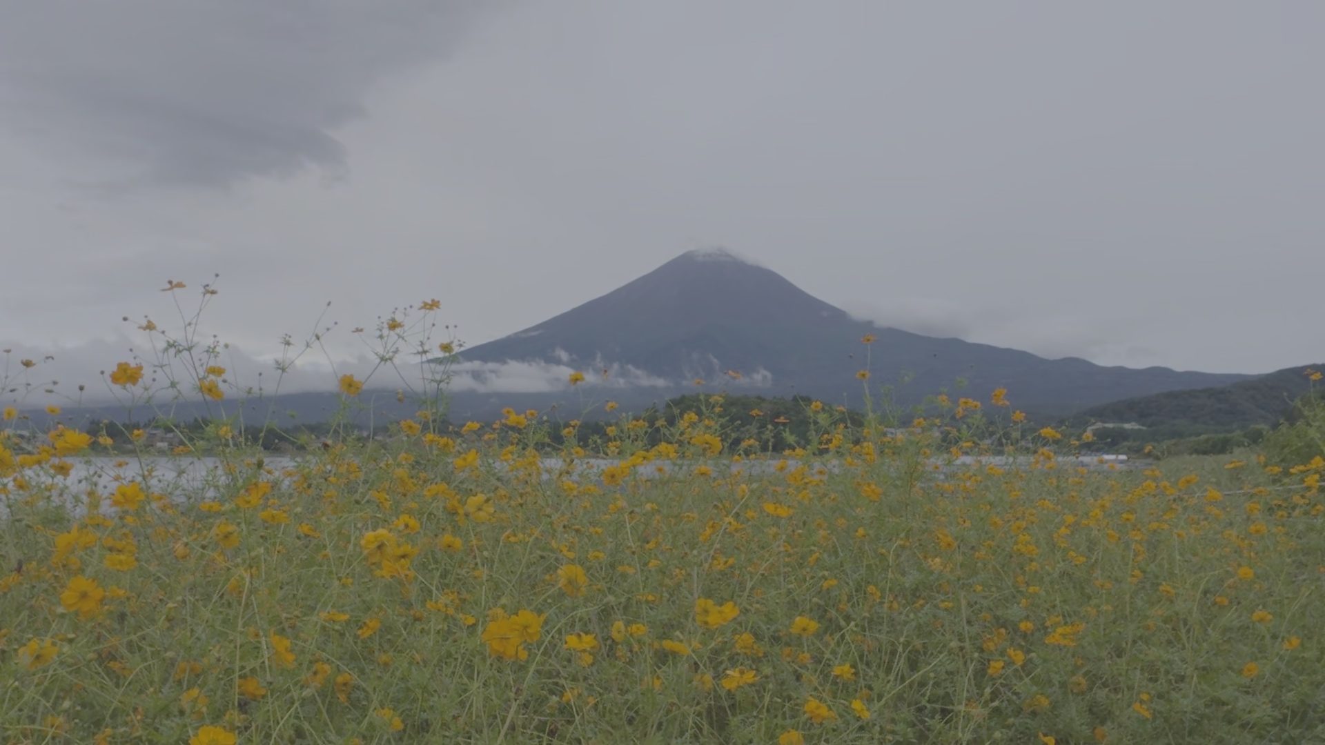 The original frame in DJI D-Log M: flat and gray
