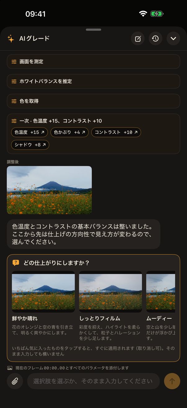 AI グレードが方向を質問し、各選択肢にプレビュー画像が付いている画面